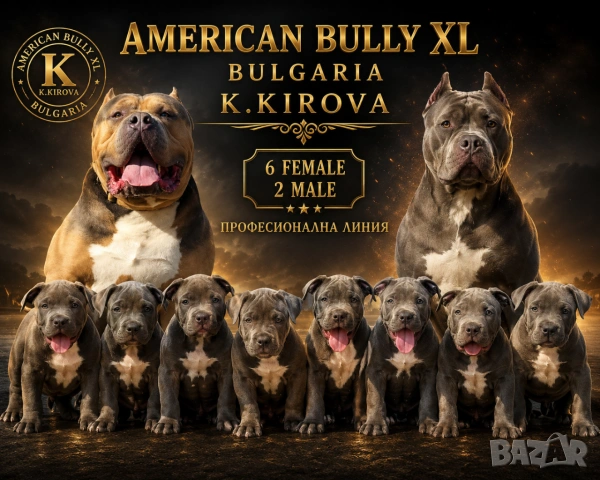ТОП Американско були хл American bully xl ABKC