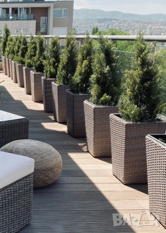 Кашпи от ратан и изкуствени кипариси