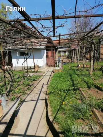 Къща в село Побит Камък, община Разград, снимка 5 - Къщи - 55389445