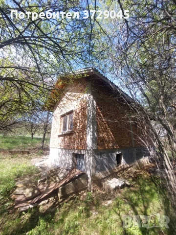 Продава къща с. Белопопци, снимка 9 - Къщи - 54388654