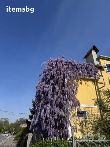 Почистване на прозорци, остъкления и витрини