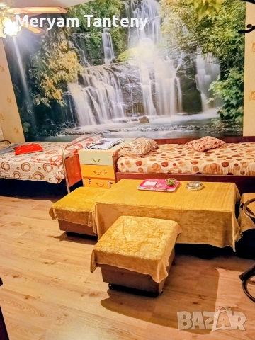 Стая под наем в Димитровград , снимка 9 - Стаи под наем - 55217502