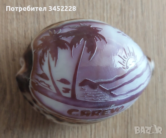 Раковини гравирани 9 броя за ценители , снимка 4 - Декорация за дома - 55086816
