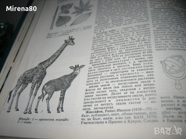 Енциклопедия БАН - 1974 г., снимка 8 - Енциклопедии, справочници - 54715982