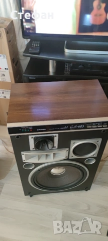 Pioneer CS-603, снимка 6 - Тонколони - 54741514