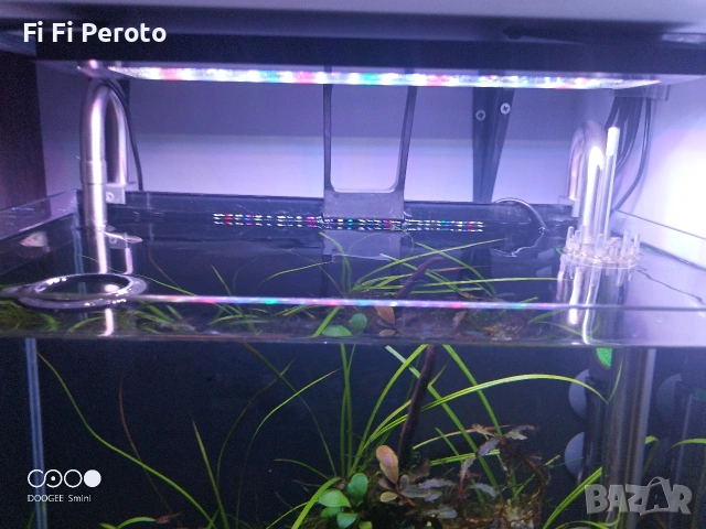 Аквариум цял или поотделно, снимка 18 - Аквариуми - 54046145