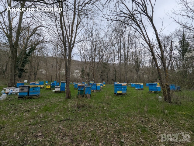 Продава се напълно оборудван пчелин, снимка 8 - За пчели - 54099773