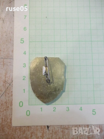 Значка "Отрядник отличник", снимка 2 - Колекции - 54246520