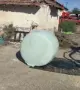 Бали със силаж царевица , снимка 1