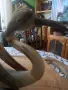 Лебед от кост..., снимка 2