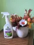 Налични почистващи и перилни препарати GRASS, снимка 6