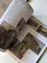 България във фотографии и гравюри от Възраждането до Новото хилядолетие , снимка 13