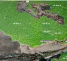 Дъбова гора м-ст Габерлъка, снимка 3