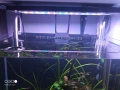 Аквариум цял или поотделно, снимка 18