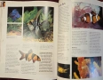 Енциклопедия за домашни любимци / The Hamlyn Family Pet Care Encyclopedia, снимка 10