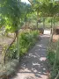 ПРОДАВА ТУХЛЕНА КЪЩА в село Велино, снимка 6
