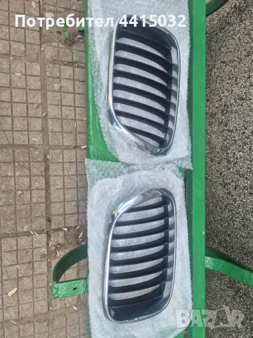 Двуцветни бъбреци X5