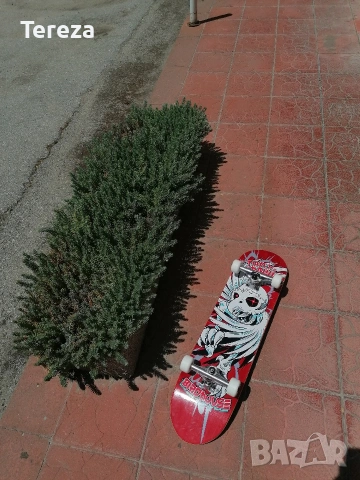 Скейтборд Birdhouse Tony Hawk stage 3, снимка 10 - Скейтборд, ховърборд, уейвборд - 55170908