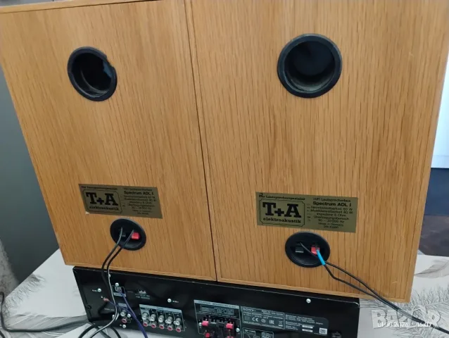T+A Spectrum ADL 1 – Немски Hi-Fi тонколони, снимка 5 - Тонколони - 55504258