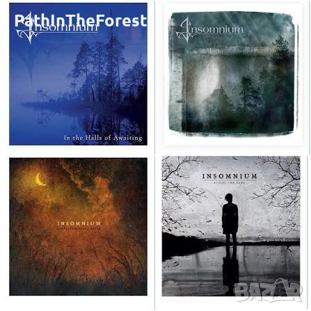 Insomnium cd купувам