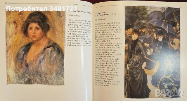 The Life and Works of Renoir, снимка 7 - Изкуство, музика, кино и фотография - 55362008