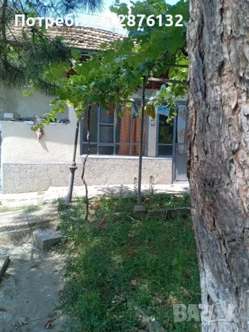 Едноетажна къща в град Опака, снимка 5 - Къщи - 55352739