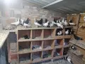 Пазарджишки високолетачи , снимка 3