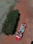 Скейтборд Birdhouse Tony Hawk stage 3, снимка 10