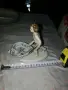 порцеланова фигура, херувим, снимка 4