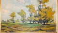 Арх. Александър Дубовник " Дъбовата кория" в Тулово 1914г., снимка 3