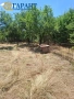 Продава къща с. Прибой, Община Радомир , снимка 12