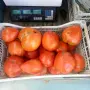 Продавам Розов домат, снимка 5
