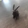 Бронзов заек малък, снимка 3