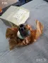 068911335B**NEU**VAG**T2**T3**БЕНДИКС ЗА СТАРТЕР **, снимка 1