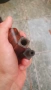 Лула Smokewell Grain, снимка 7