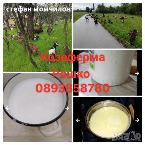 млечни продукти 