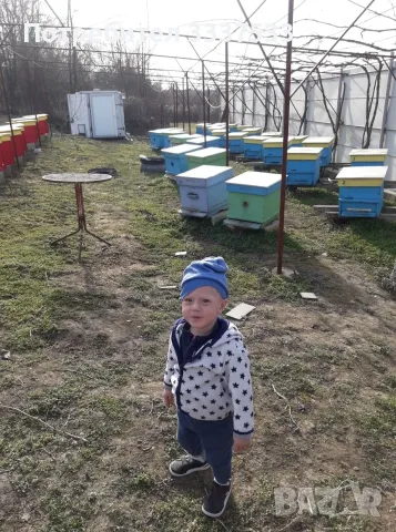 prodavam biznes imot, снимка 2 - Къщи - 55528690
