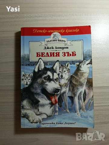 Романи за деца/юноши