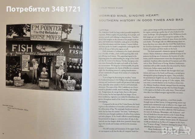 Picturing the South 1860 to the Present, снимка 3 - История, политика и общество - 55065597