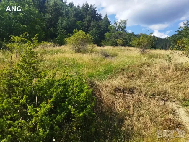 Продава панорамен южен парцел в гр.Смолян, снимка 11 - Парцели - 55636158