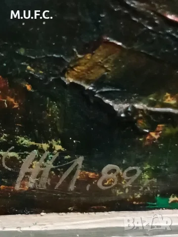 Картина масло 1989 подпис , снимка 7 - Антикварни и старинни предмети - 55638062
