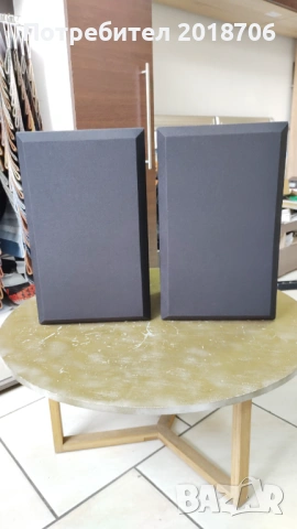 Bose Interaudio 300XL