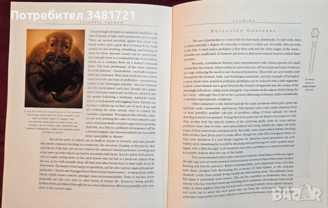 Атлантическата сьомга - илюстриран справочник / Atlantic Salmon. An Illustrated History, снимка 11 - Енциклопедии, справочници - 54956938