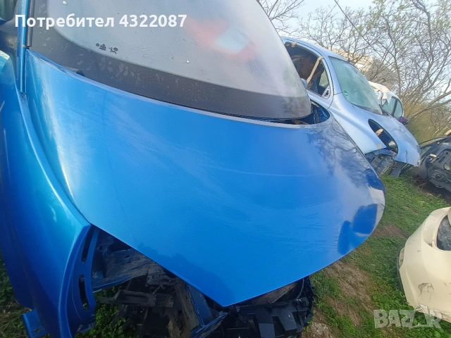 Преден капак  Рено Гранд Сценик / Renault Grand Scenic II 1.9 dci 130к.с., снимка 4 - Части - 51672974