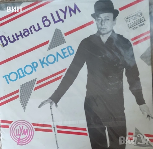 Малки грамофонни плочи-сингли, снимка 14 - Грамофонни плочи - 52292582