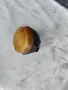 Заден мигач симсон, снимка 2