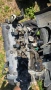 Двигател / Мотор Рено 1.9дци 102 DCi дизел Renault F9Q732, снимка 6
