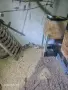 Сребърен зебрайт, снимка 2