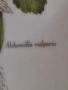 Порцеланова чиния за стена, снимка 8