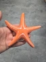 морски фигурки , снимка 4